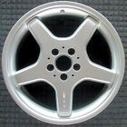 2304012102 2304011102 Wheel Rim Class Rear Amg Oe