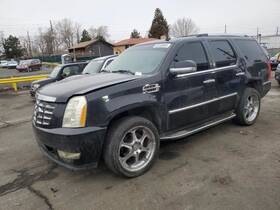 566.gm6207 Cadillac Escalade 2007 Spare Wheel Carrier 1305541