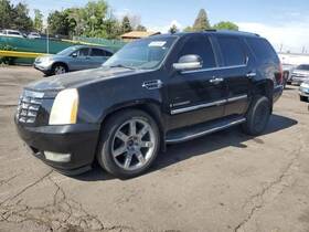 566.gm6208 Cadillac Escalade 2008 Spare Wheel Carrier 1336080