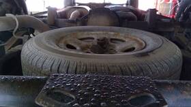 566.gm8t03 Chevrolet Truck Express15 2003 Spare Wheel Carrier 639718