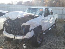 566.fd8509 Ford Truck F150 2009 Spare Wheel Carrier 3585367