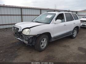 566.hy1404 Hyundai Santa Fe 2004 Spare Wheel Carrier 1406155