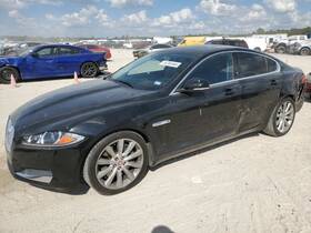 564.ja1p14 Jaguar Jack 2014 Xf