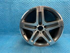 D9.5jx19h2 Mercedes G-class Amg 19 Inch Alloy Wheel With Center Cap 19x9.5 2009-2018 Oem