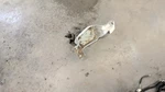 Journey 2011 Spare Wheel Carrier 728897. Fixed Price $104.90.