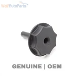 2018-2025 Audi S5 Sportback Spare Tire Fastener / Tie Down Bolt 8W9863695A. Fixed Price $10.99.