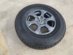 17" Ford Bronco Wheel Rim Tire Spare 10384 Oem Ranger 2023 2024 2025 2026 New. Fixed Price $85.50.