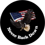 Spare Tire Cover With American Flag And Bald Eagle (never Back Down) For Hummer. Fixed Price $39.49.
