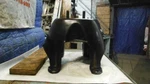 Liberty 2003 Spare Wheel Carrier 286382. Fixed Price $65.00.