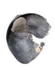 Oem 01-05 Audi Allroad C5 A6 Inner Fender Liner Splash Guard Passenger Side. Fixed Price $49.99.