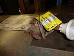 Ranger 1999 Spare Wheel Carrier 143967. Fixed Price $75.00.