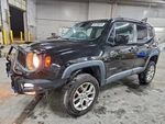 Renegade 2015 Spare Wheel Carrier 1408580. Fixed Price $117.89.