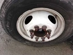 Wheel Drw 16X6 Steel 4 Oval Holes Fits 07-19 21-25 Ford E350 Van 3169627. Fixed Price $194.90.