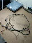 Audi C4 URS4 Trunk Wiring Harness. Fixed Price $19.90.