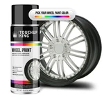 Automotive Wheel Paint For Chevrolet Silver Gray Metallic WA5255. Fixed Price $36.99.