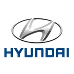 Genuine Hyundai Cover Assembly Left-hand S8F21-AU040. Fixed Price $36.20.
