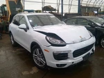 Wheel 19X8-1/2 Alloy Double Spoke Fits 11-18 Porsche Cayenne 6982725. Fixed Price $159.98.
