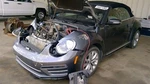 Beetle 2017 Jack 1025008. Fixed Price $95.31.