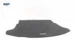 2020 - 2022 Lexus UX200 Trunk Cargo Spare Floor Panel Carpet Cover Oem. Fixed Price $82.49.