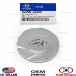 Genuine Oem Wheel Center Cap Hyundai Elantra 2011-2013 17INCH 529603X300. Fixed Price $21.91.